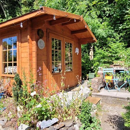 Tan Y Coed'S Rosemary Cabin Conwy Exterior foto