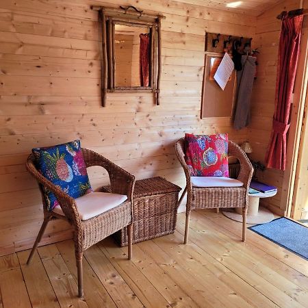 Tan Y Coed'S Rosemary Cabin Conwy Exterior foto