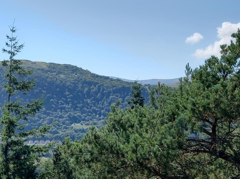 Tan Y Coed'S Rosemary Cabin Conwy Exterior foto