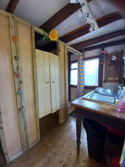 Tan Y Coed'S Rosemary Cabin Conwy Exterior foto