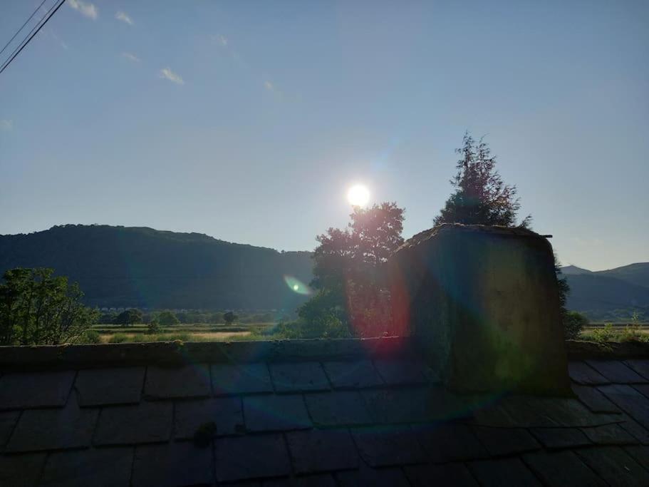 Tan Y Coed'S Rosemary Cabin Conwy Exterior foto
